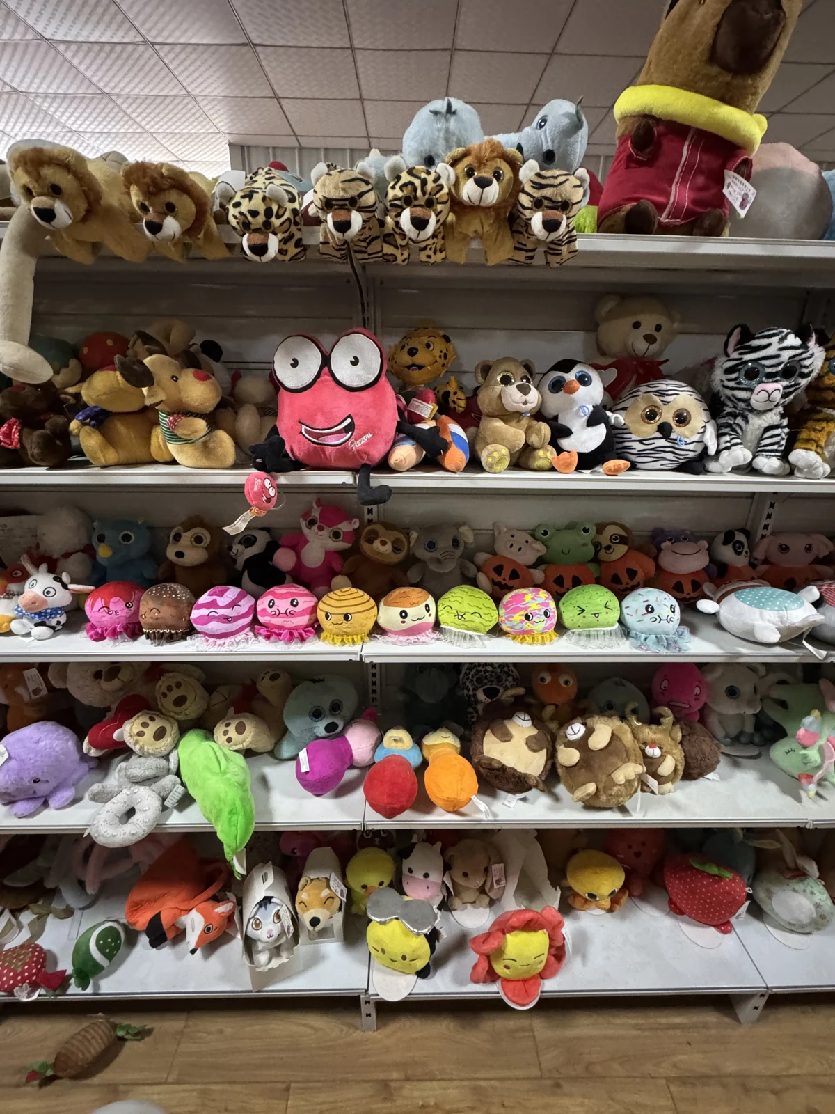 A collection of plush personalities